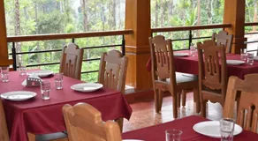 Ibbanicadu Estate Homestay - Image 3