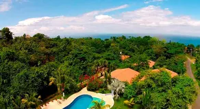 Hotel Three Monkeys - Image 4