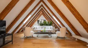 Spacious Apartment in Central Basel near Rhine - Special TOP LUX 42 Apartment, Basel, up to 6 guests - Image 2