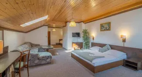 Hotel Pavla Vysočina - Image 2