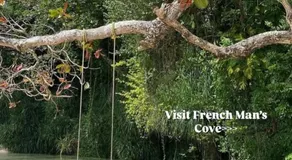Sunset grove hideaway - Image 5