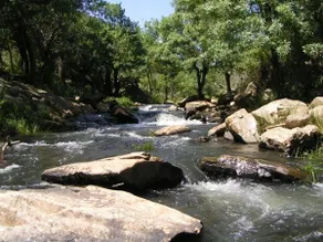 Casazul M&B - Image 5