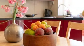Gîte Centre Santé Bien-être Naturéconnaissance - Image 5