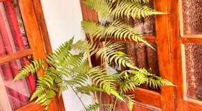 River Side Guest House - Image 2