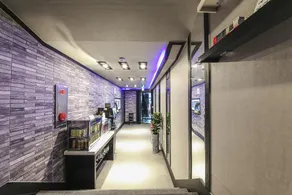 Geumjeong ZOOM - Image 4