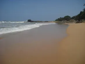 Chitra Ayurveda - Image 3
