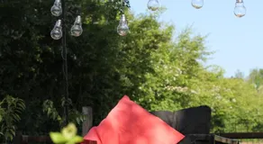 Bed & Breakfast Bij de Wilg - Image 3