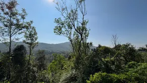 Coorg hill view stay - Image 2