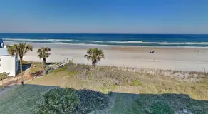 Sand Dollar 2-302 - Image 3