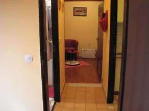 Apartment Zvonkic A1 Aljmas, Continental Croatia - Image 5
