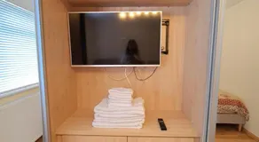 London Luxury 2 Bedroom Flat Sleeps 8 free parking - Image 5