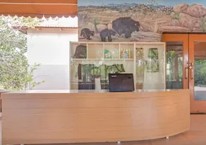 Hampi Heritage and Wilderness Resort - Junglelodges - Image 3