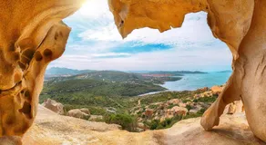 Sandy Bear Guesthouse - Happy Rentals - Image 2