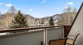 Modern Aspen Condo Private Deck with Koch Park Views - 2E - Image 4