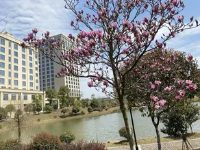 Dongyue Taiyi Hotel - Image 5