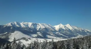 Privát Bayer - Image 5