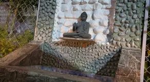 H M farm - Image 4