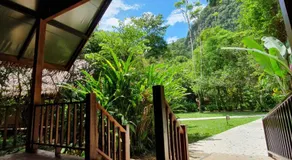 Our Jungle House - Image 3