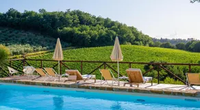 Podere Vergianoni immersed in Chianti with swimming pool - Image 2