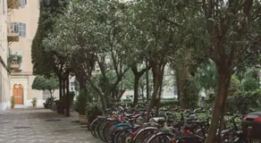 Vatican Garden Rooms - Image 5