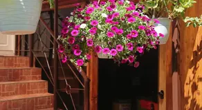 Casa Fabrizio - Image 2