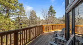 Altitude Adjustment - Pool Table, Ping Pong, Fireplace, Forest Views - Image 3