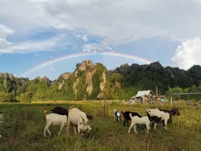 A Moment of Love...by Red Z @บ้านมุง เนินมะปราง - Image 3