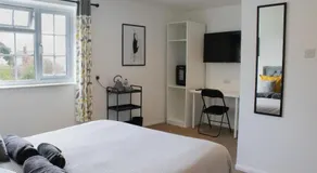 The Live and Let Live - Image 2