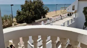 Solymar - Image 3