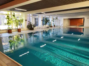 Bergzauber Bayerwald - voll ausgestattetes Familienapartment mit Pool - Image 2