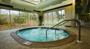 Pocono Villas Resort - Image 3