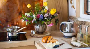 The Queen Bee Cabin - Image 4