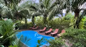 Khaosok Good view Resort - SHA PLUS - Image 3
