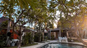 Coconut Dream - Image 2