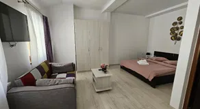 Vila Șaguna - Image 2