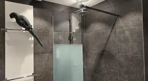 La Perle Enchantée - Image 2