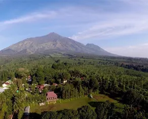 Kebun Teh Wonosari Rollaas Hotel & Resort - Image 4