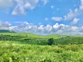 一棟貸しの宿 柚葉 - yuzyha - - Image 4