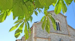Villa Profidia - Image 5