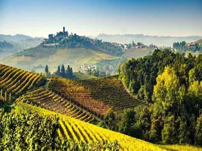 Hillview Langhe Apartment - Image 4