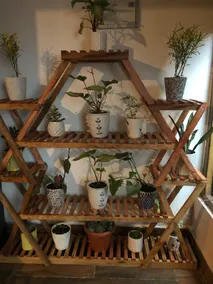 Hello Home - Image 3