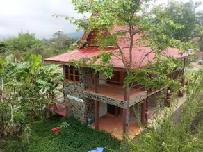 Kratommai Phuwaree - Image 2