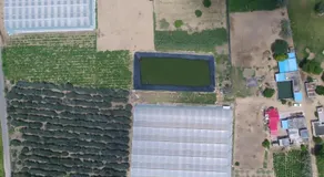 Prerna organic farms - Image 4