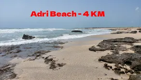 Coconut Farm stay - Near Somnath - Image 4