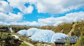 Cargurra Park Farm - Image 5