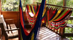 Jungle Overnight - Image 4