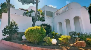 DOS MONOS - Image 5