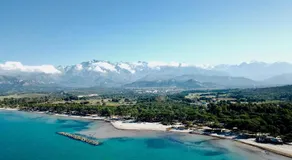 Au pied des oliviers - Image 4