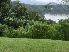 Sha Homestay - Image 4