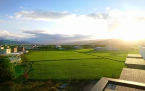 My Friends' Hostel - Image 2